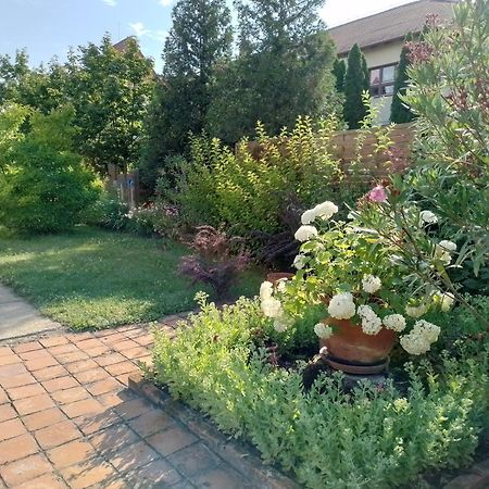 Platan Vendeghaz Διαμέρισμα Csemo Εξωτερικό φωτογραφία